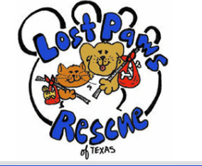 http://pressreleaseheadlines.com/wp-content/Cimy_User_Extra_Fields/Lost Paws Rescue of Texas/Screen-Shot-2013-09-10-at-11.04.29-AM.png